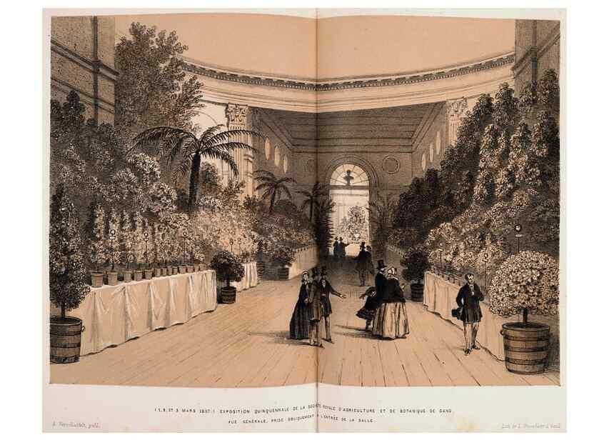 Reproducción/Reproduction 49683905893: L'Illustration horticole :. Gand, Belgium :Imprimerie et lithographie de F. et E. Gyselnyck,1854-1896.. 