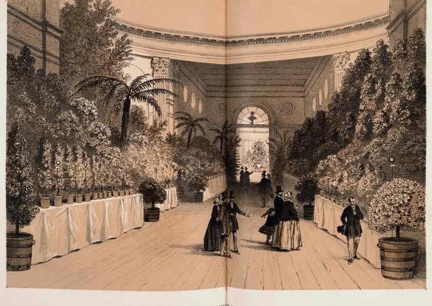 Reproducción/Reproduction 49683905893: L'Illustration horticole :. Gand, Belgium :Imprimerie et lithographie de F. et E. Gyselnyck,1854-1896.. 
