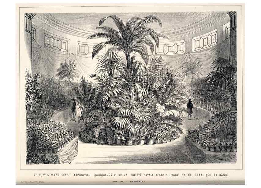 Reproducción/Reproduction 49683906113: L'Illustration horticole :. Gand, Belgium :Imprimerie et lithographie de F. et E. Gyselnyck,1854-1896.. 