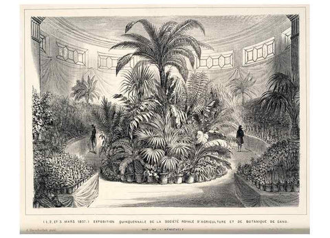 Reproducción/Reproduction 49683906113: L'Illustration horticole :. Gand, Belgium :Imprimerie et lithographie de F. et E. Gyselnyck,1854-1896.. 