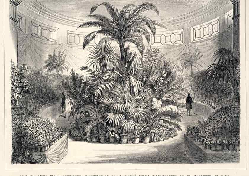 Reproducción/Reproduction 49683906113: L'Illustration horticole :. Gand, Belgium :Imprimerie et lithographie de F. et E. Gyselnyck,1854-1896.. 