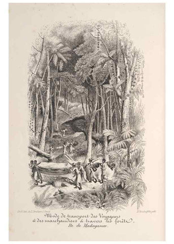 Reproducción/Reproduction 49687401258: L'Illustration horticole :. Gand, Belgium :Imprimerie et lithographie de F. et E. Gyselnyck,1854-1896.. 