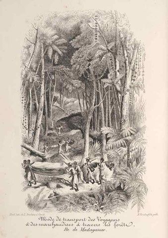 Reproducción/Reproduction 49687401258: L'Illustration horticole :. Gand, Belgium :Imprimerie et lithographie de F. et E. Gyselnyck,1854-1896.. 