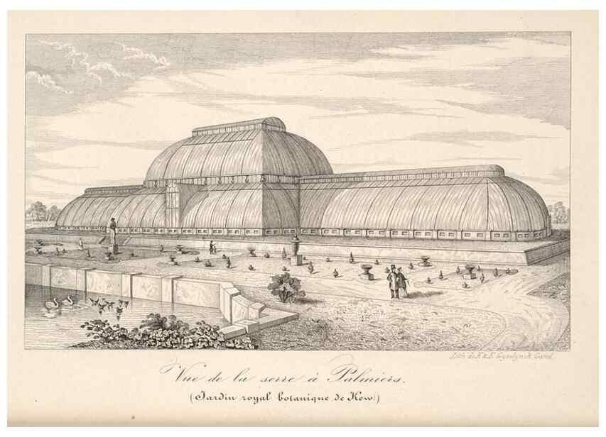 Reproducción/Reproduction 49686189106: L'Illustration horticole :. Gand, Belgium :Imprimerie et lithographie de F. et E. Gyselnyck,1854-1896.. 