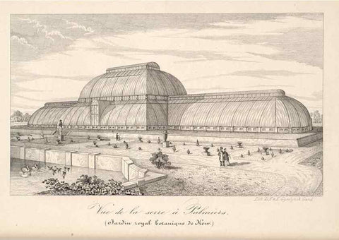 Reproducción/Reproduction 49686189106: L'Illustration horticole :. Gand, Belgium :Imprimerie et lithographie de F. et E. Gyselnyck,1854-1896.. 