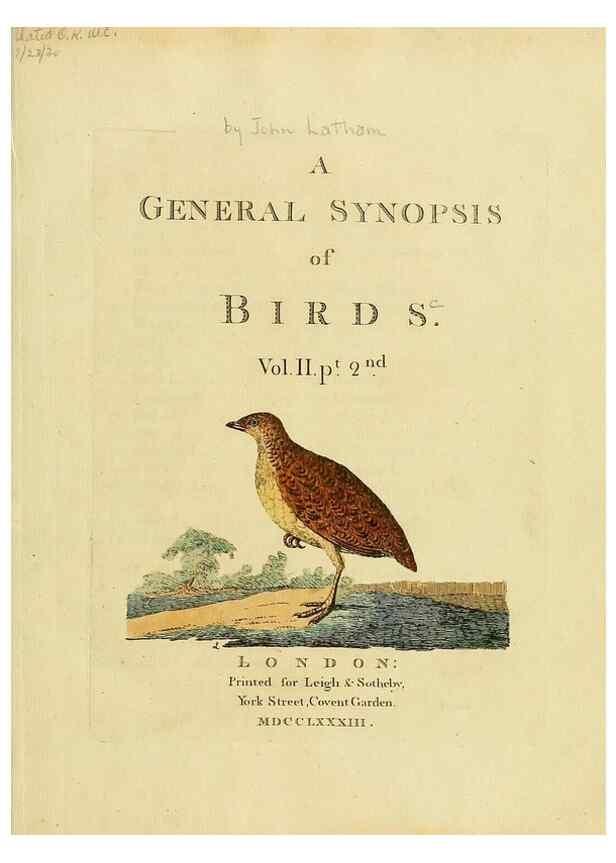 Reproducción/Reproduction 49756254978: A general synopsis of birds.. London :Printed for Benj. White,1781-1785.. 