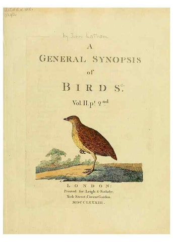 Reproducción/Reproduction 49756254978: A general synopsis of birds.. London :Printed for Benj. White,1781-1785.. 