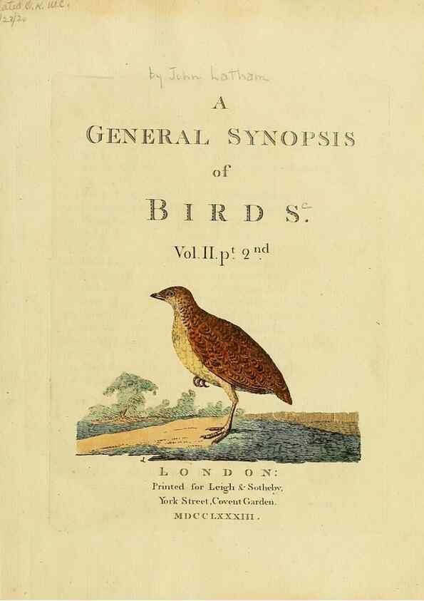 Reproducción/Reproduction 49756254978: A general synopsis of birds.. London :Printed for Benj. White,1781-1785.. 