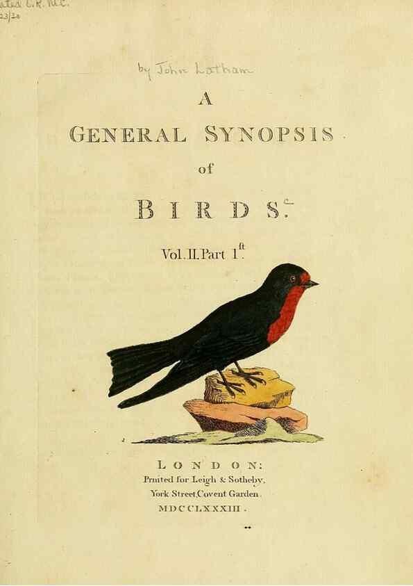 Reproducción/Reproduction 49756685371: A general synopsis of birds.. London :Printed for Benj. White,1781-1785.. 