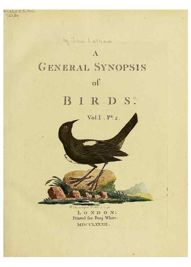 Reproducción/Reproduction 49756503386: A general synopsis of birds.. London :Printed for Benj. White,1781-1785.. 