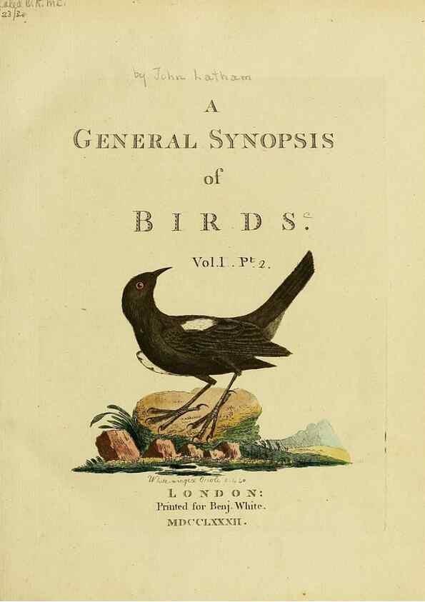 Reproducción/Reproduction 49756503386: A general synopsis of birds.. London :Printed for Benj. White,1781-1785.. 