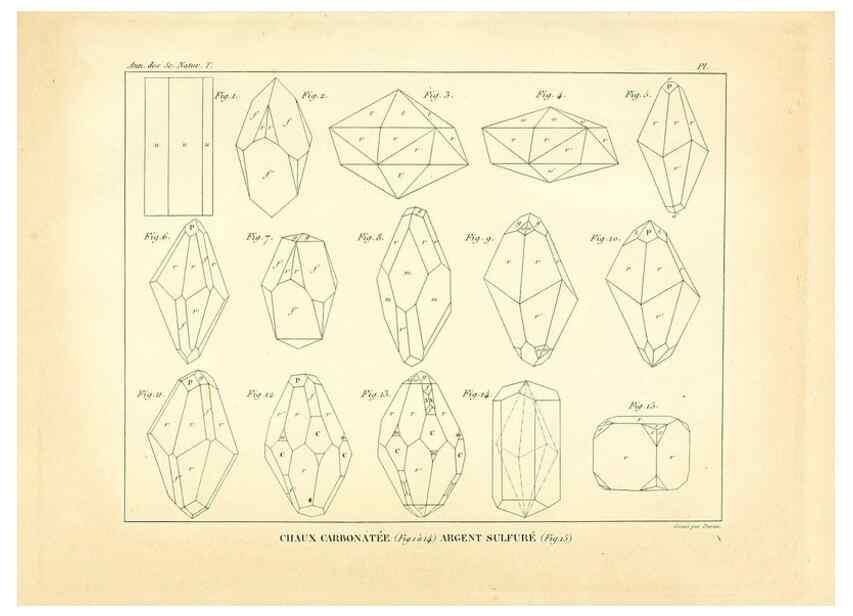 Reproducción/Reproduction 49773316961: Annales des sciences naturelles :. Paris :Crochard. 