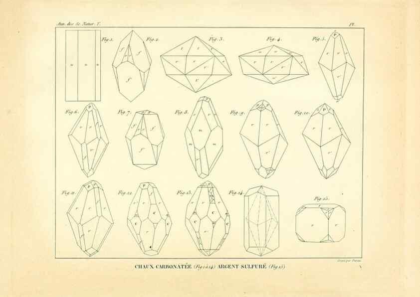 Reproducción/Reproduction 49773316961: Annales des sciences naturelles :. Paris :Crochard. 