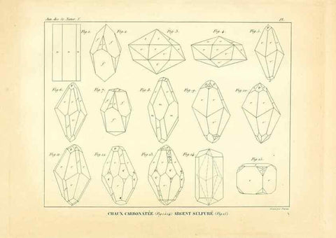 Reproducción/Reproduction 49773316961: Annales des sciences naturelles :. Paris :Crochard. 