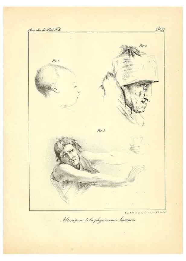 Reproducción/Reproduction 49773317706: Annales des sciences naturelles :. Paris :Crochard. 