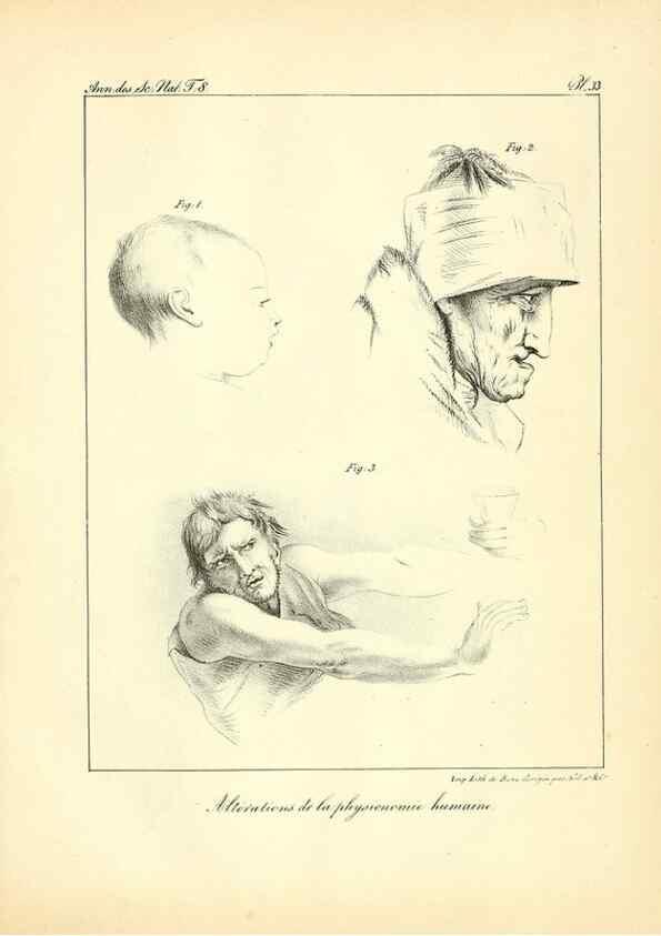 Reproducción/Reproduction 49773317706: Annales des sciences naturelles :. Paris :Crochard. 