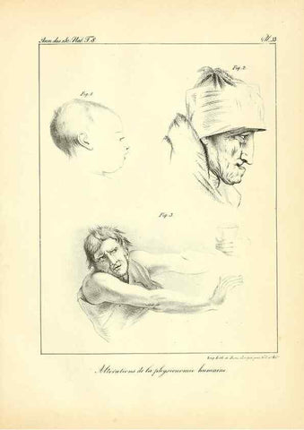 Reproducción/Reproduction 49773317706: Annales des sciences naturelles :. Paris :Crochard. 