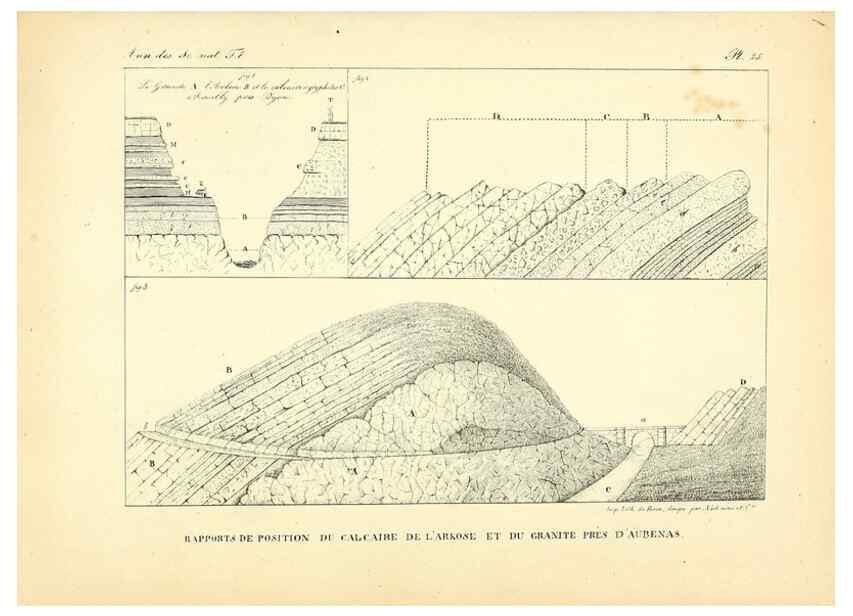 Reproducción/Reproduction 49772784703: Annales des sciences naturelles :. Paris :Crochard. 