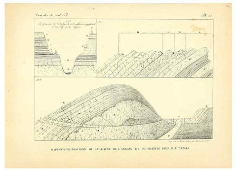 Reproducción/Reproduction 49772784703: Annales des sciences naturelles :. Paris :Crochard. 