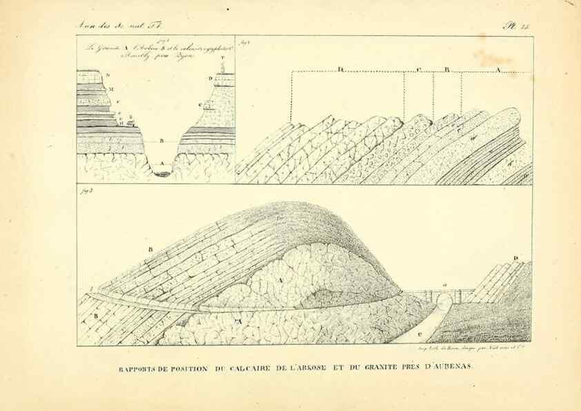 Reproducción/Reproduction 49772784703: Annales des sciences naturelles :. Paris :Crochard. 