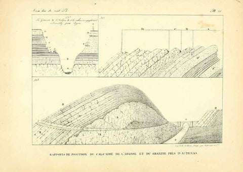 Reproducción/Reproduction 49772784703: Annales des sciences naturelles :. Paris :Crochard. 