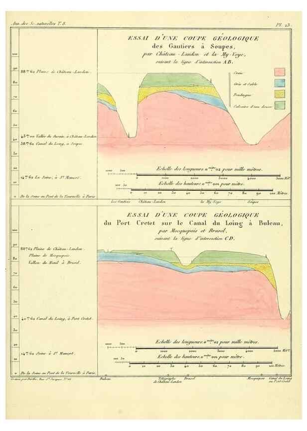 Reproducción/Reproduction 49772784123: Annales des sciences naturelles :. Paris :Crochard. 
