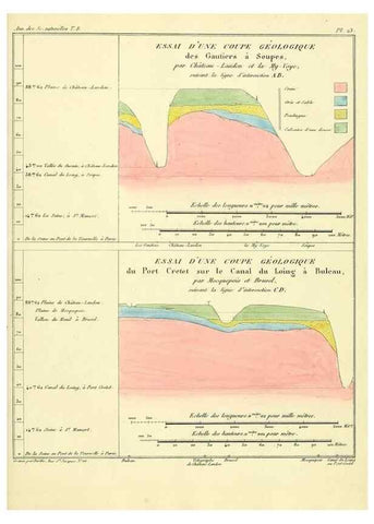 Reproducción/Reproduction 49772784123: Annales des sciences naturelles :. Paris :Crochard. 