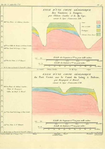 Reproducción/Reproduction 49772784123: Annales des sciences naturelles :. Paris :Crochard. 