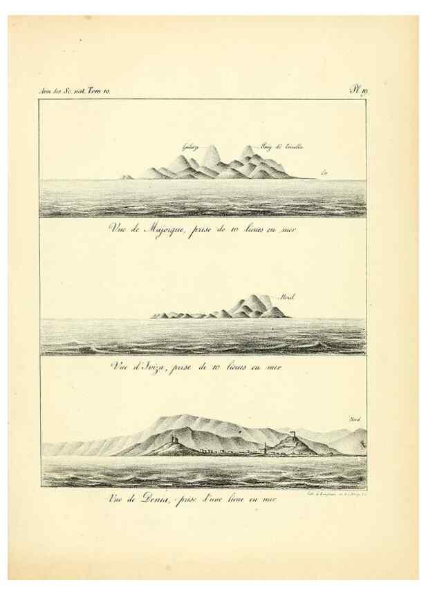 Reproducción/Reproduction 49773656337: Annales des sciences naturelles :. Paris :Crochard. 