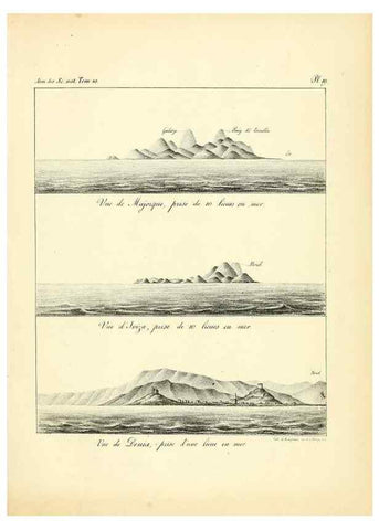 Reproducción/Reproduction 49773656337: Annales des sciences naturelles :. Paris :Crochard. 