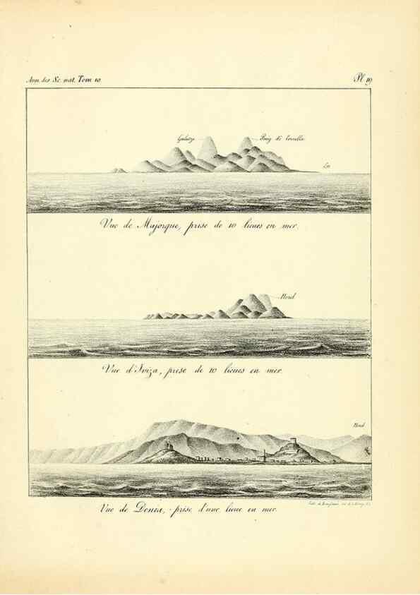 Reproducción/Reproduction 49773656337: Annales des sciences naturelles :. Paris :Crochard. 