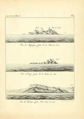 Reproducción/Reproduction 49773656337: Annales des sciences naturelles :. Paris :Crochard. 