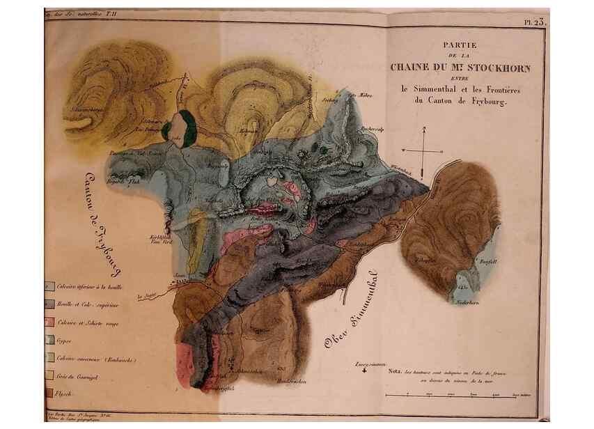 Reproducción/Reproduction 49773657892: Annales des sciences naturelles :. Paris :Crochard. 