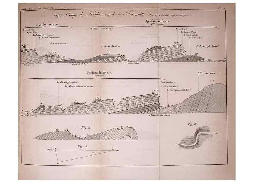 Reproducción/Reproduction 49773612853: Annales des sciences naturelles :. Paris :Crochard. 
