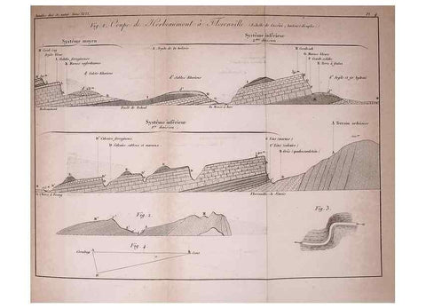 Reproducción/Reproduction 49773612853: Annales des sciences naturelles :. Paris :Crochard. 
