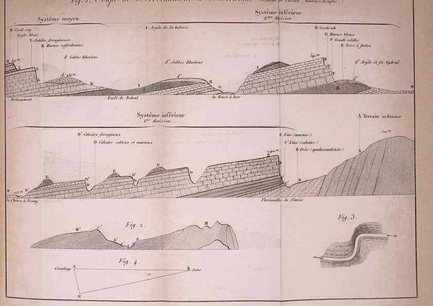 Reproducción/Reproduction 49773612853: Annales des sciences naturelles :. Paris :Crochard. 