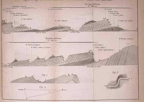 Reproducción/Reproduction 49773612853: Annales des sciences naturelles :. Paris :Crochard. 