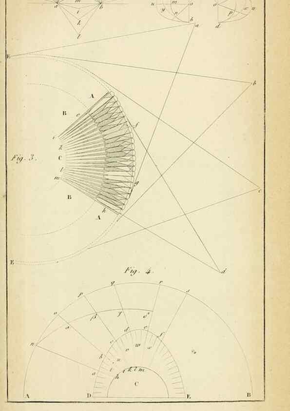 Reproducción/Reproduction 49774478197: Annales des sciences naturelles :. Paris :Crochard. 