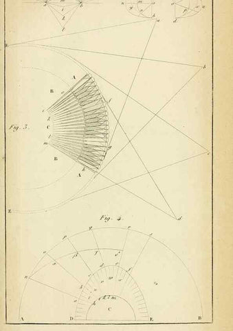 Reproducción/Reproduction 49774478197: Annales des sciences naturelles :. Paris :Crochard. 