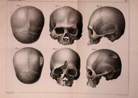 Reproducción/Reproduction 49773309781: Annales des sciences naturelles :. Paris :Crochard. 