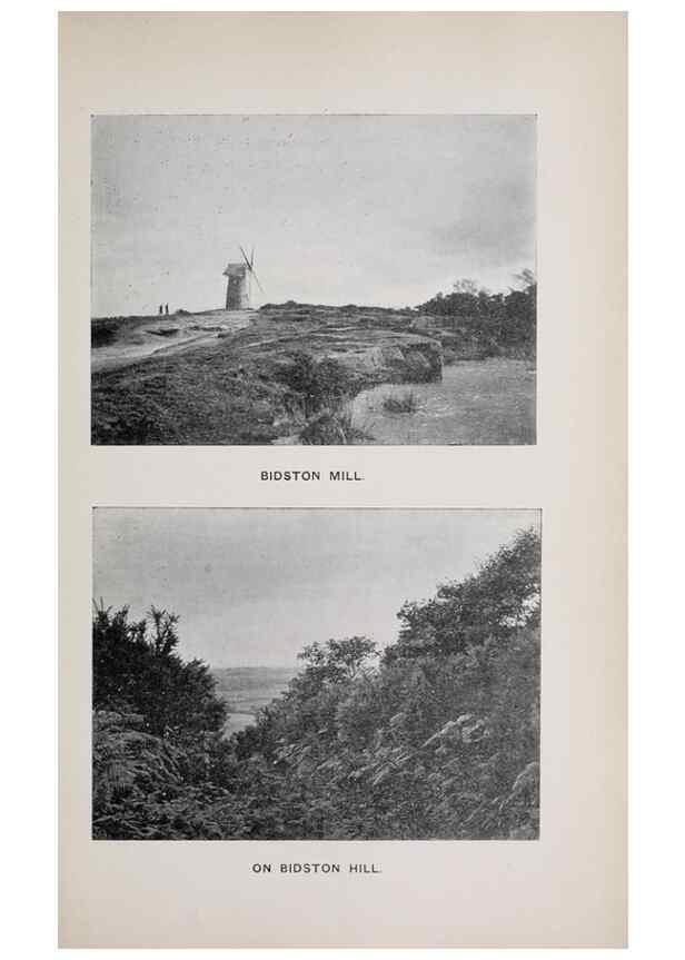 Reproducción/Reproduction 49743306096: The flora of the Liverpool district /. Liverpool :D. Marples & Co.,1902.. 