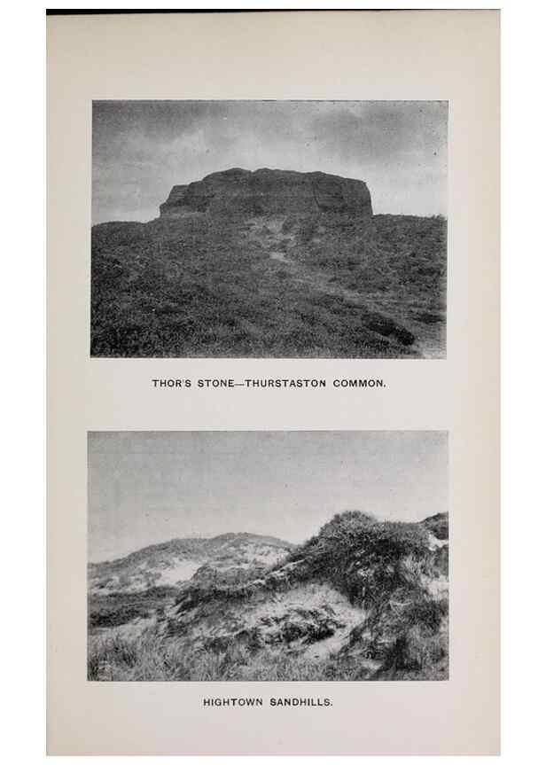 Reproducción/Reproduction 49743627387: The flora of the Liverpool district /. Liverpool :D. Marples & Co.,1902.. 