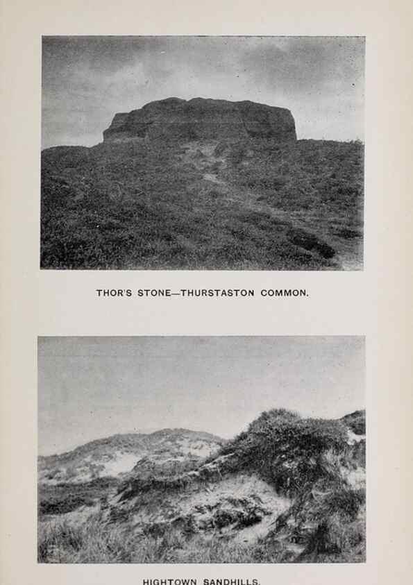 Reproducción/Reproduction 49743627387: The flora of the Liverpool district /. Liverpool :D. Marples & Co.,1902.. 