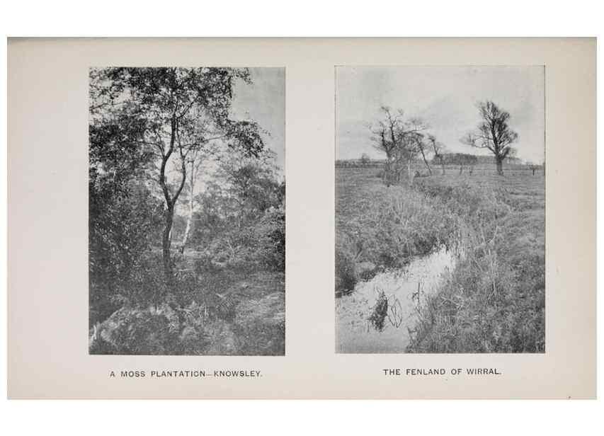 Reproducción/Reproduction 49743307426: The flora of the Liverpool district /. Liverpool :D. Marples & Co.,1902.. 