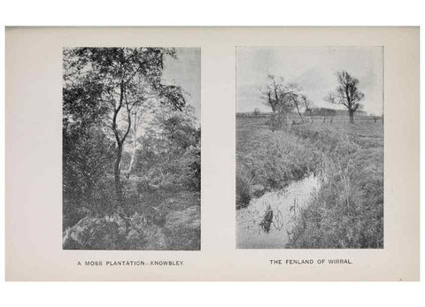Reproducción/Reproduction 49743307426: The flora of the Liverpool district /. Liverpool :D. Marples & Co.,1902.. 