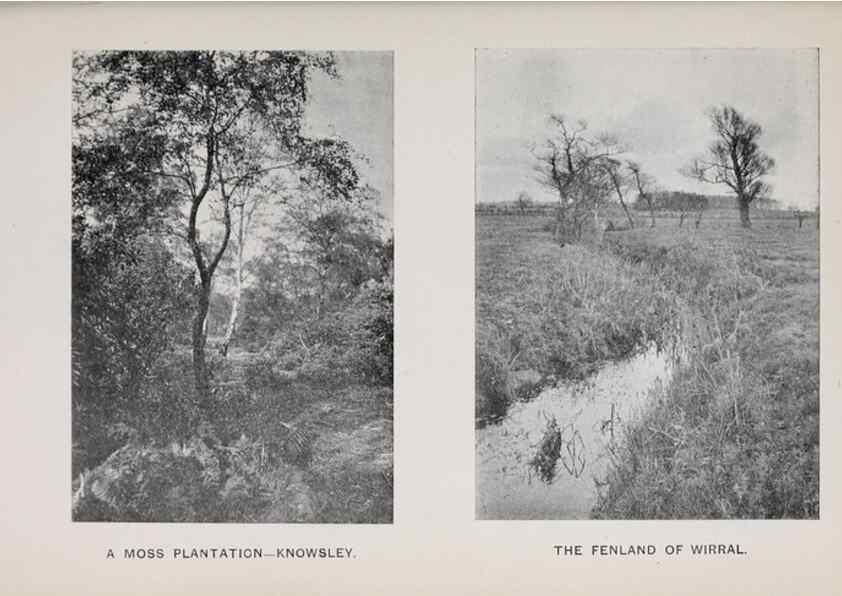 Reproducción/Reproduction 49743307426: The flora of the Liverpool district /. Liverpool :D. Marples & Co.,1902.. 