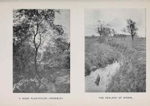 Reproducción/Reproduction 49743307426: The flora of the Liverpool district /. Liverpool :D. Marples & Co.,1902.. 