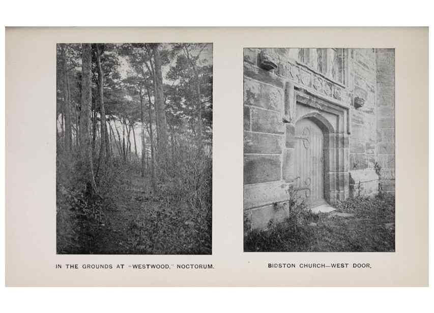Reproducción/Reproduction 49742757868: The flora of the Liverpool district /. Liverpool :D. Marples & Co.,1902.. 