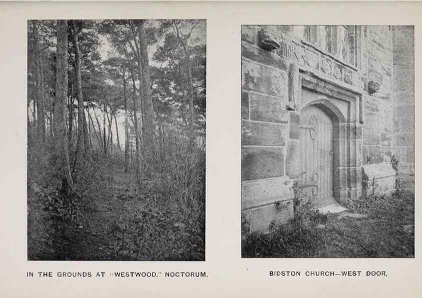 Reproducción/Reproduction 49742757868: The flora of the Liverpool district /. Liverpool :D. Marples & Co.,1902.. 