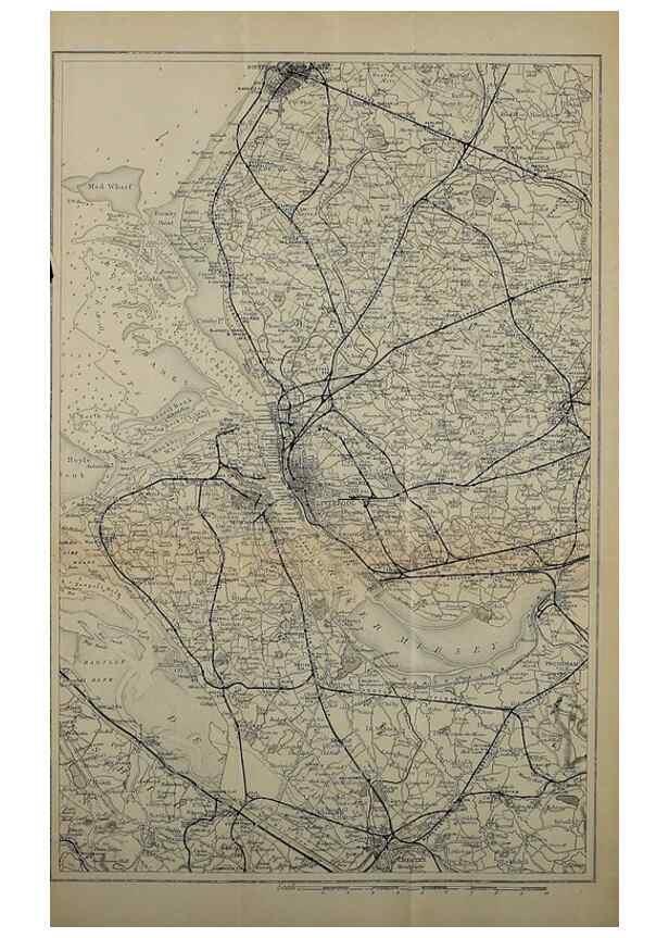 Reproducción/Reproduction 49743630192: The flora of the Liverpool district /. Liverpool :D. Marples & Co.,1902.. 